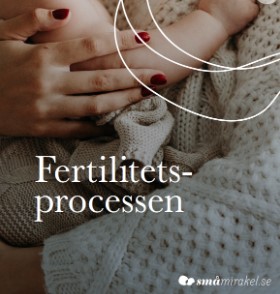 Fertilitetsprocessen
